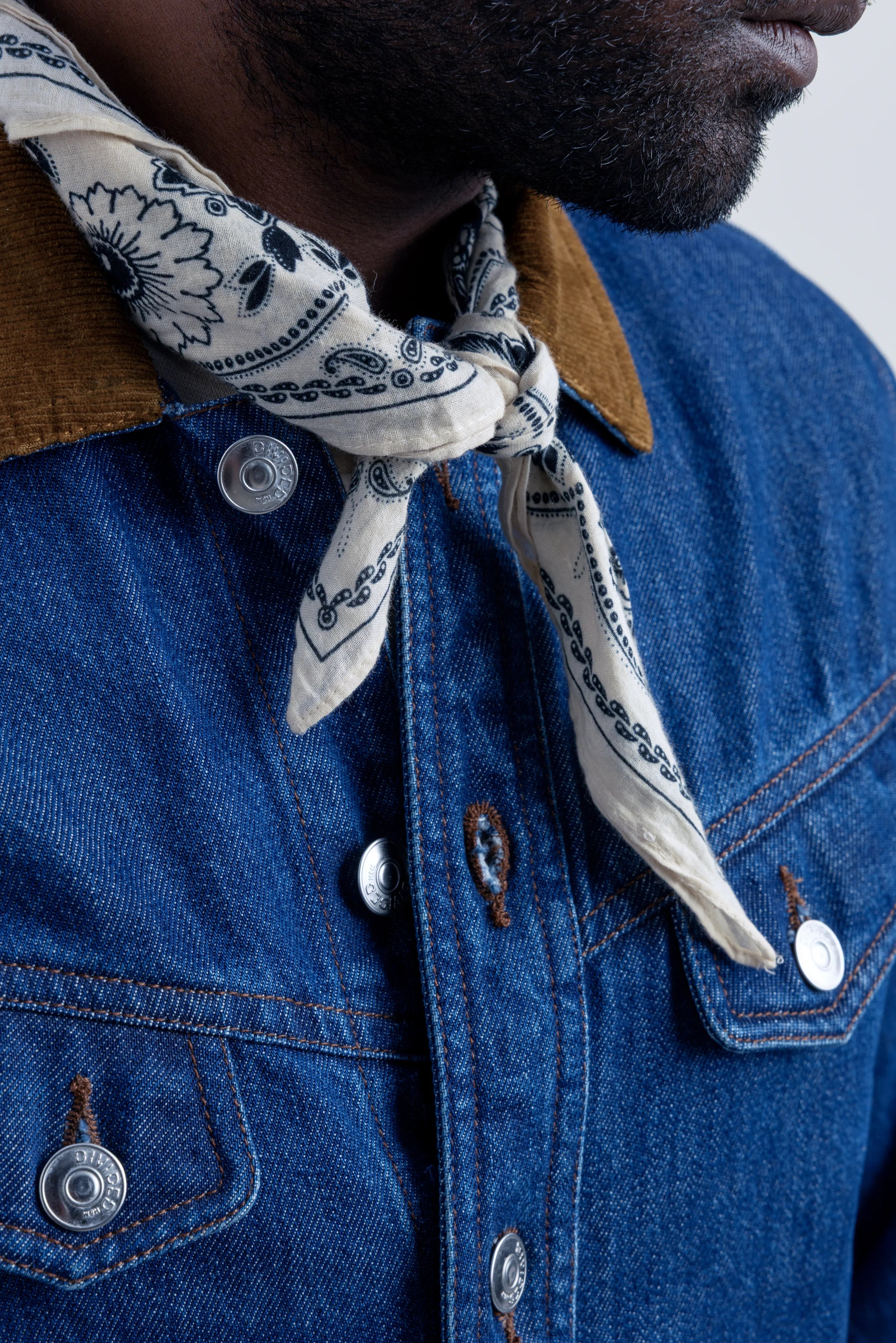 Blueward Belaine Denim - model_poseposition_of_shirtporduct_type